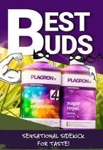 Green Sensation 1 L +  Sugar Royal 1 L - Plagron Best Buds